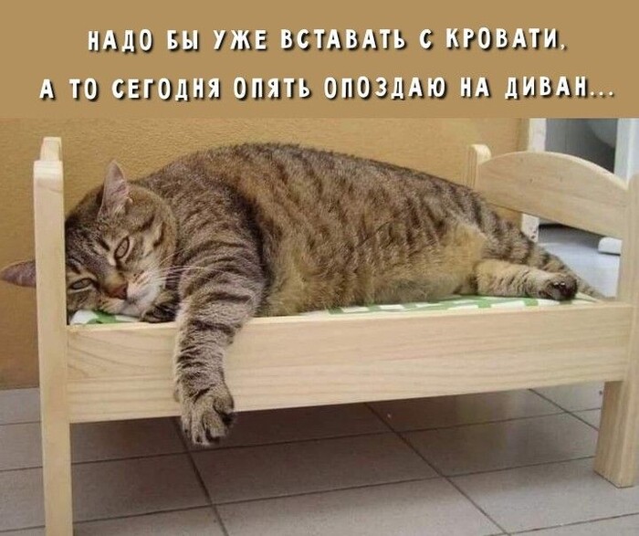    ) ,  ,  , , , , ,   