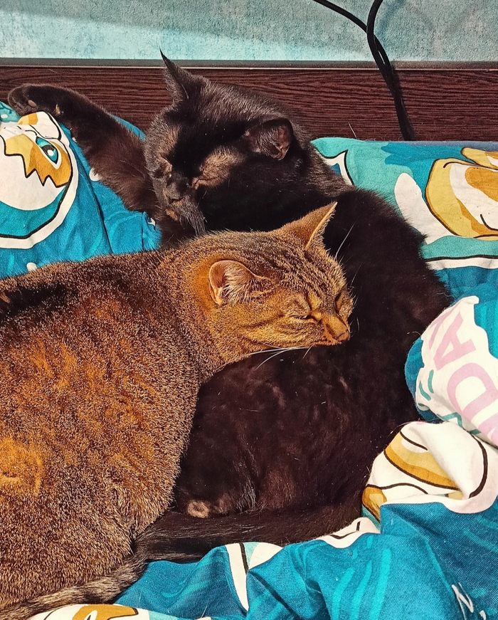 Да, там протертая пятка)