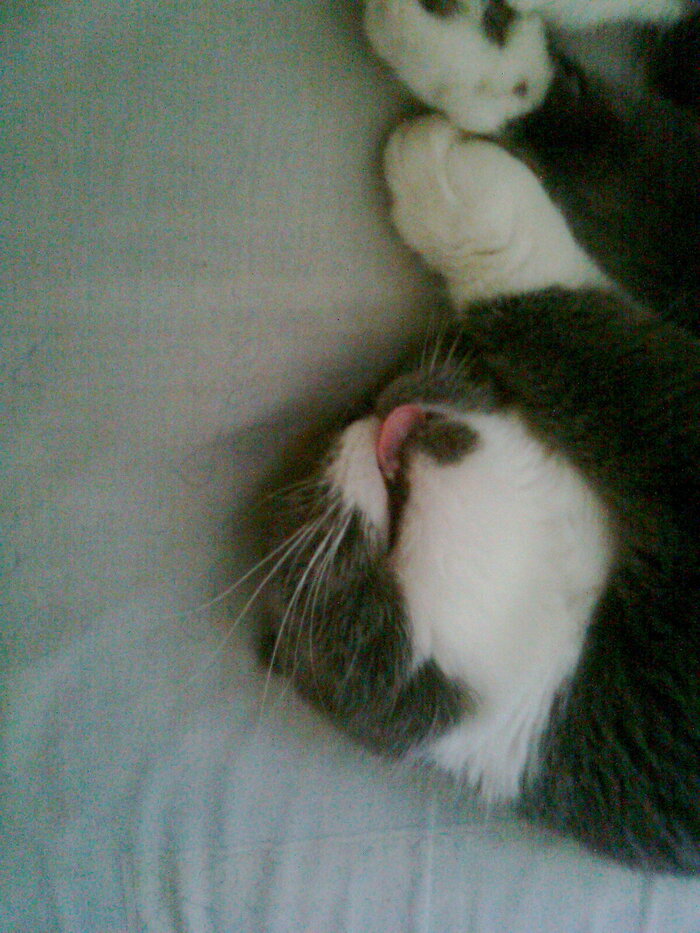 Вот и вся любовь)