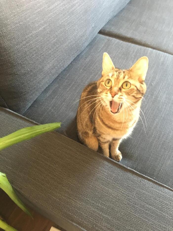    :    , , ,  , ,  ,   , 