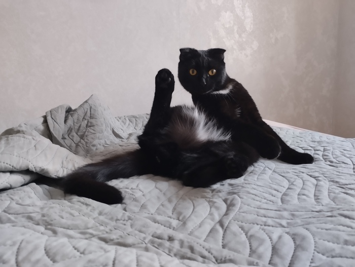    :    , , ,  , ,  ,   