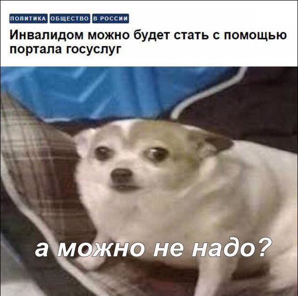 Цифровизация делает нашу жизнь удобнее, говорили они