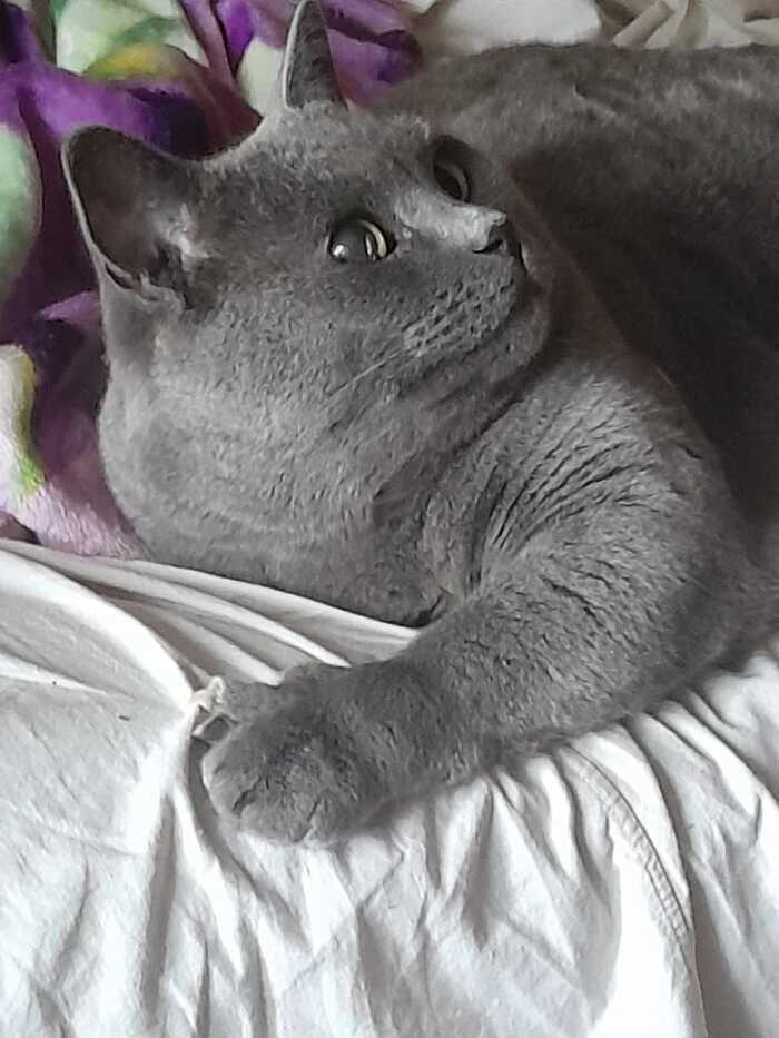     , , 