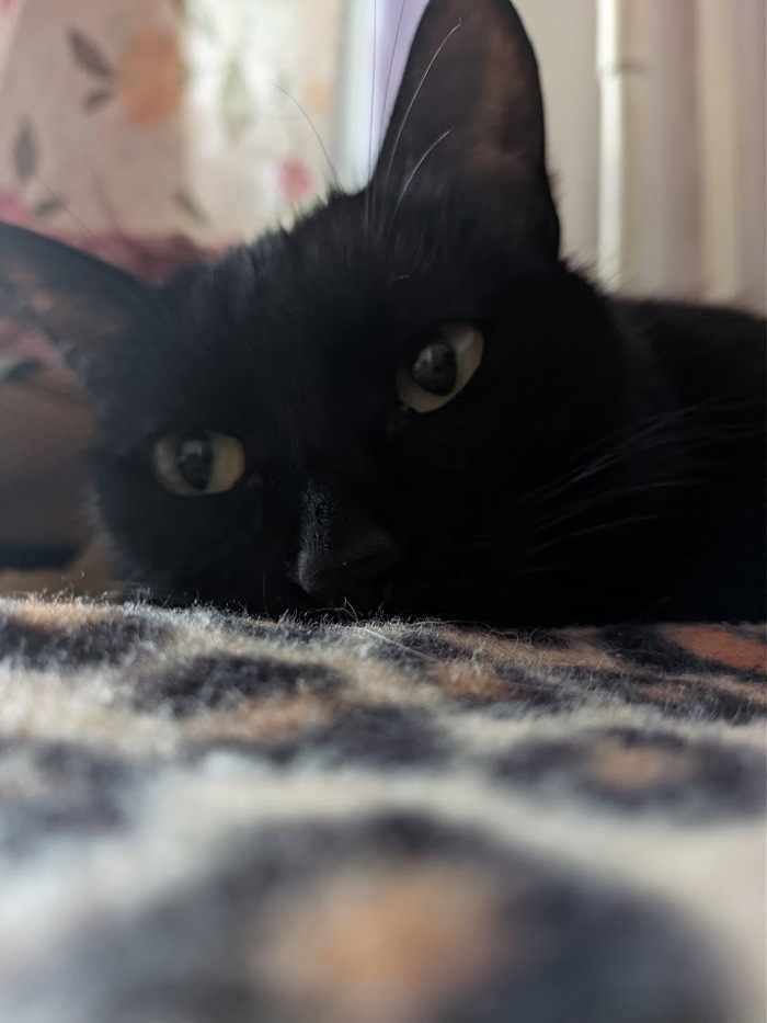    :    , , ,  , ,  ,   , 