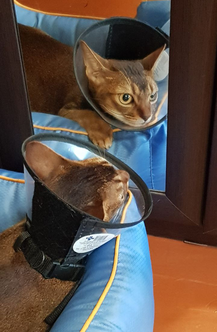 Раздумья с самим собой