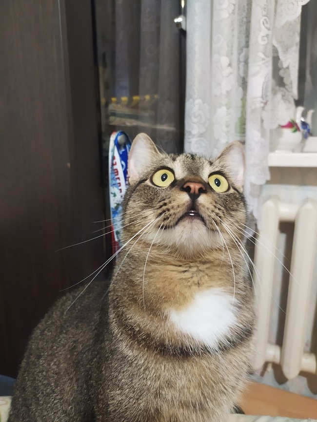    :    , , ,  , ,  ,   