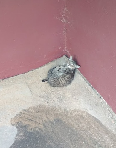 Наше первое знакомство.