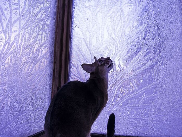 Наслаждающийся видами