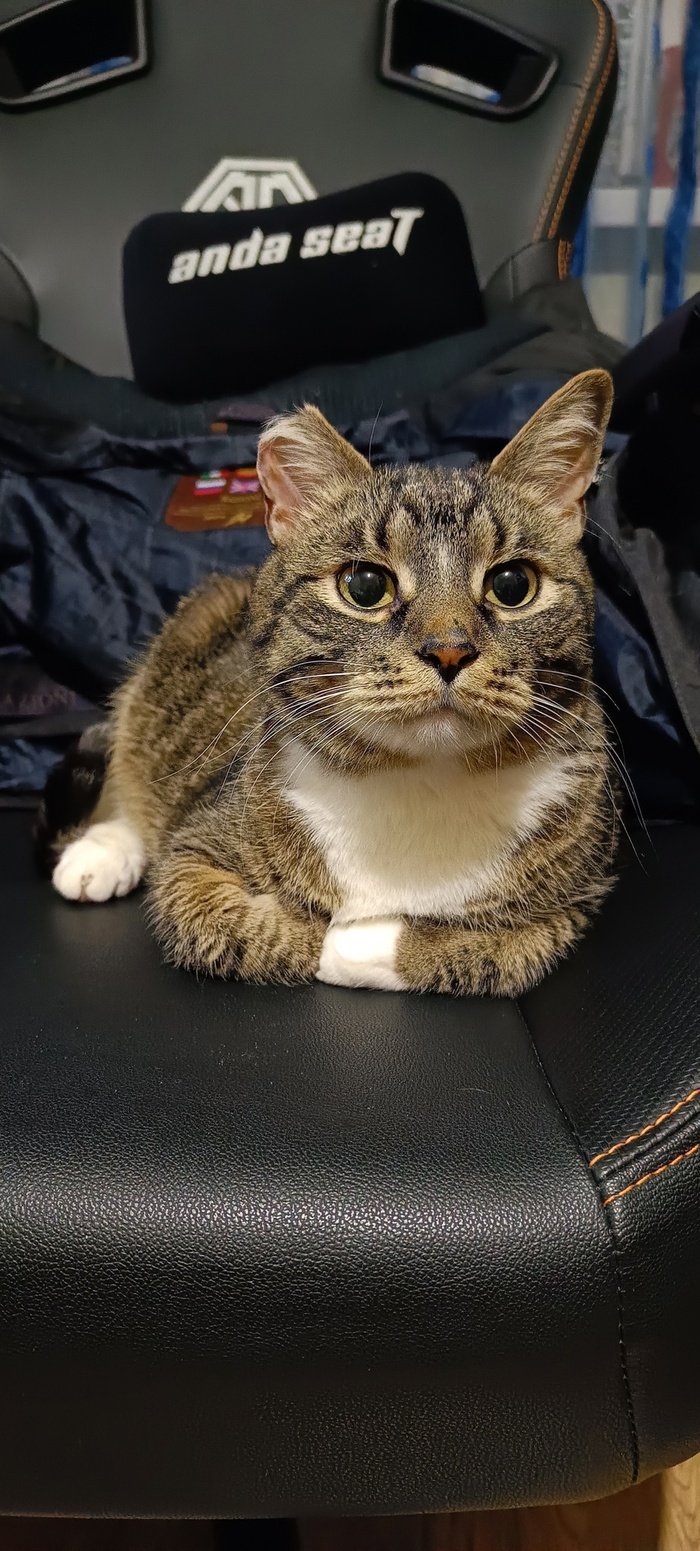    :    , , ,  , ,  ,   , 