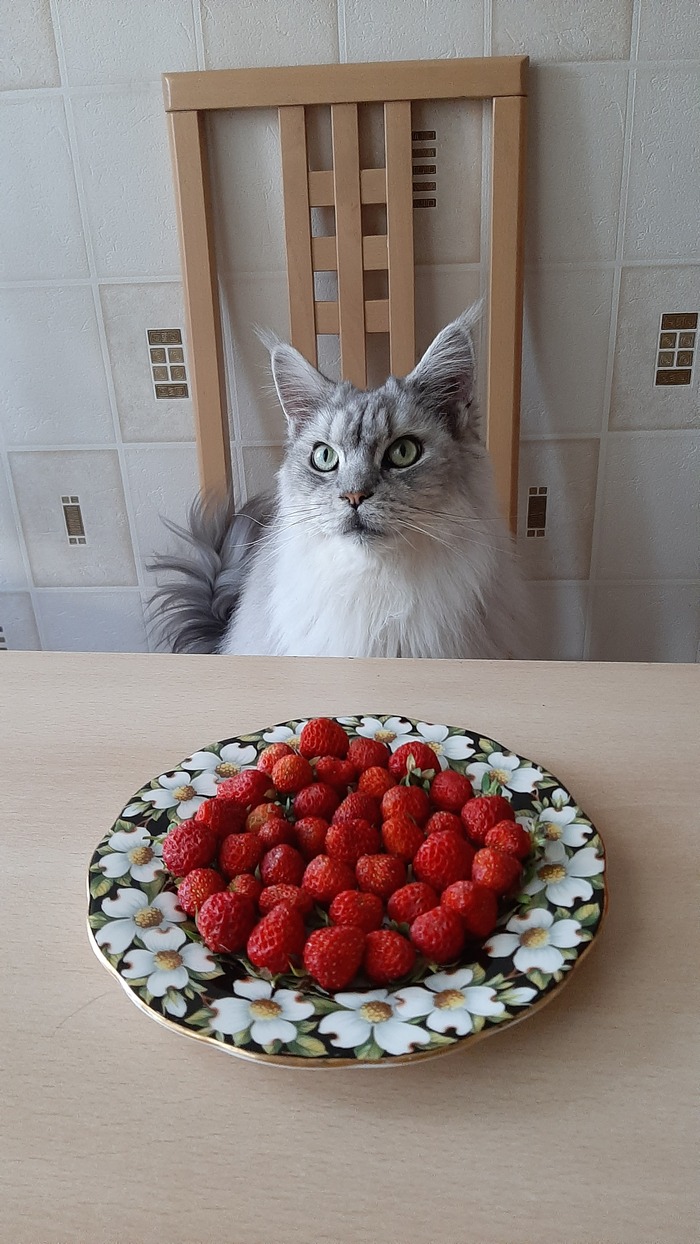    :    , , ,  , ,  ,   , , -, 