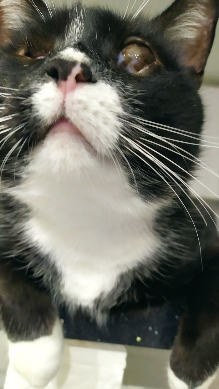 ,  , 10 .   ,      .