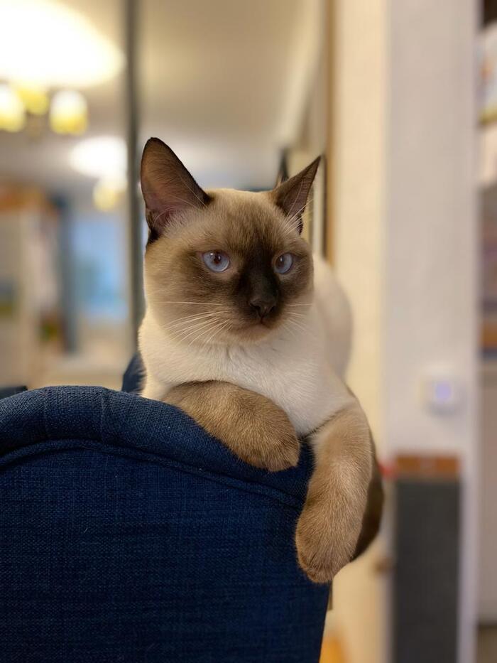    :    , , ,  , ,  ,   , 