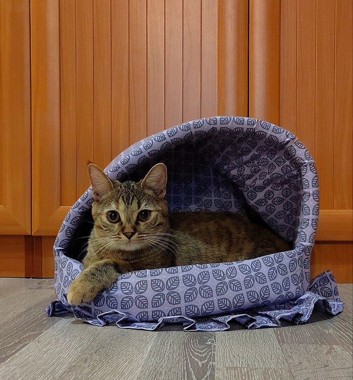 Мэсси, тыгыдымская сволочь.