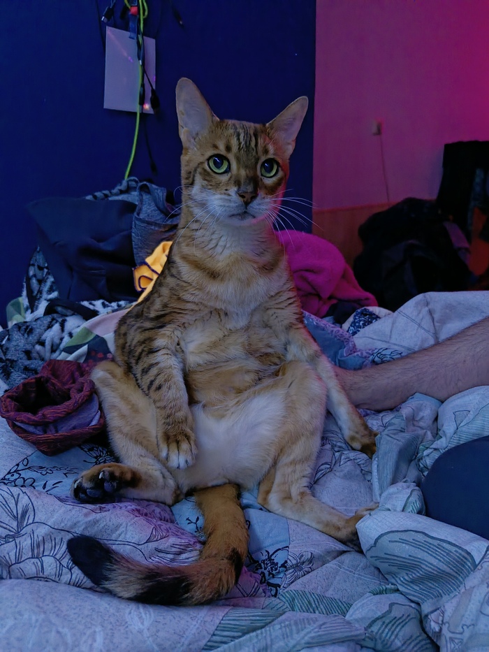    :    , , ,  , ,  ,   , 