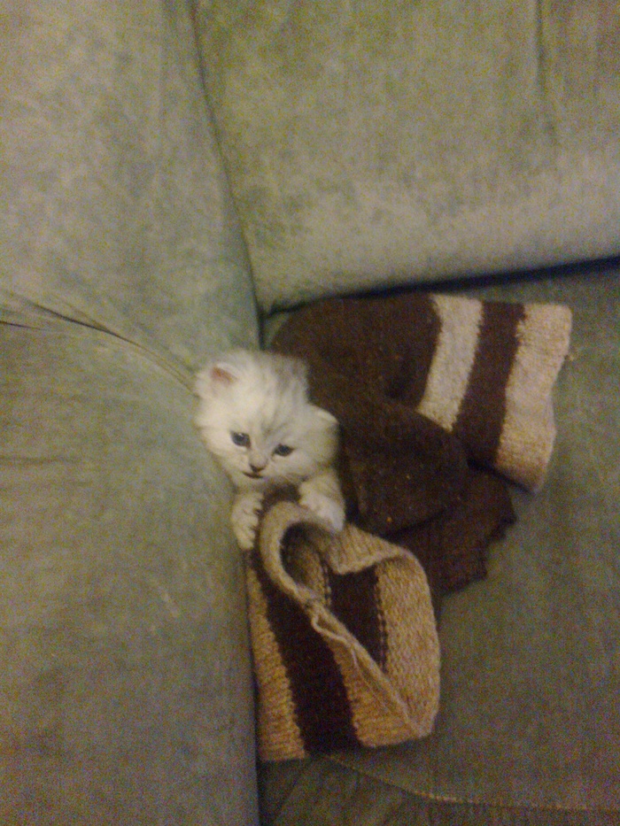 30 дней от роду