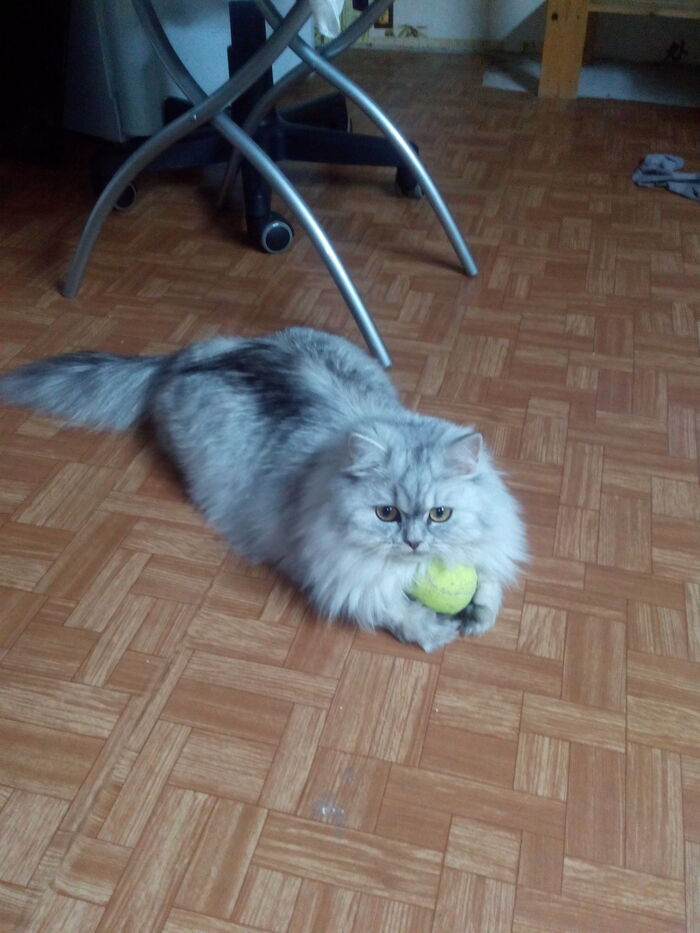 Год с чем-то