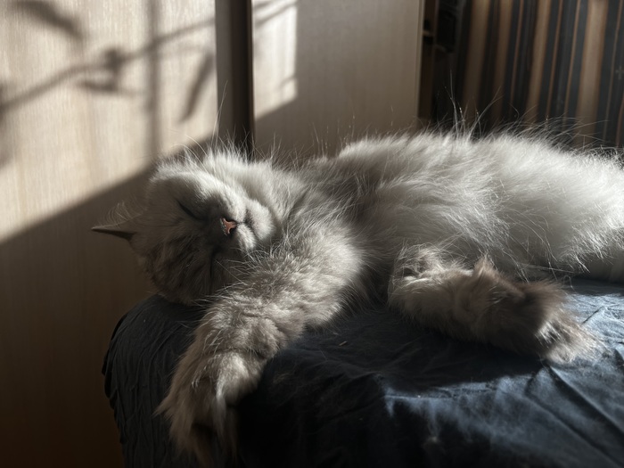 Работает на удалёнке.