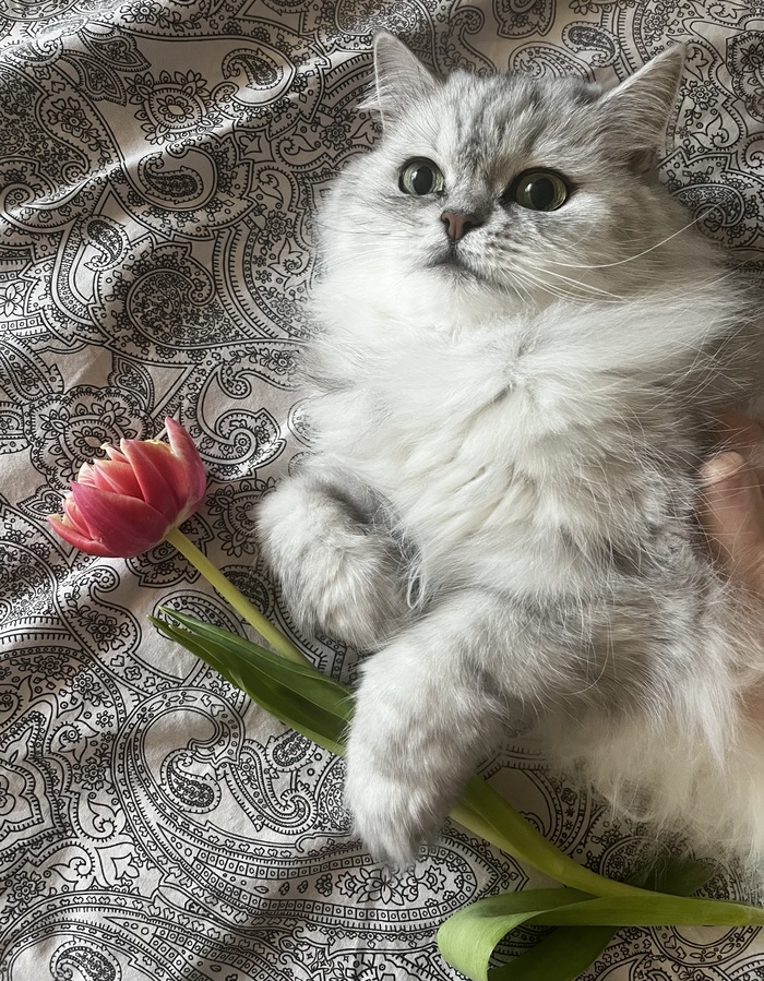 10 лет. Поздравляет женщин с наступающим праздником!