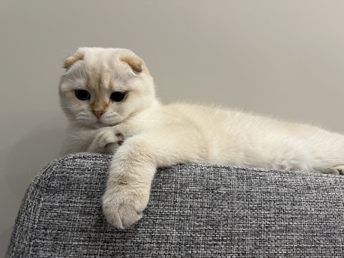    :    , , ,  , ,  ,   