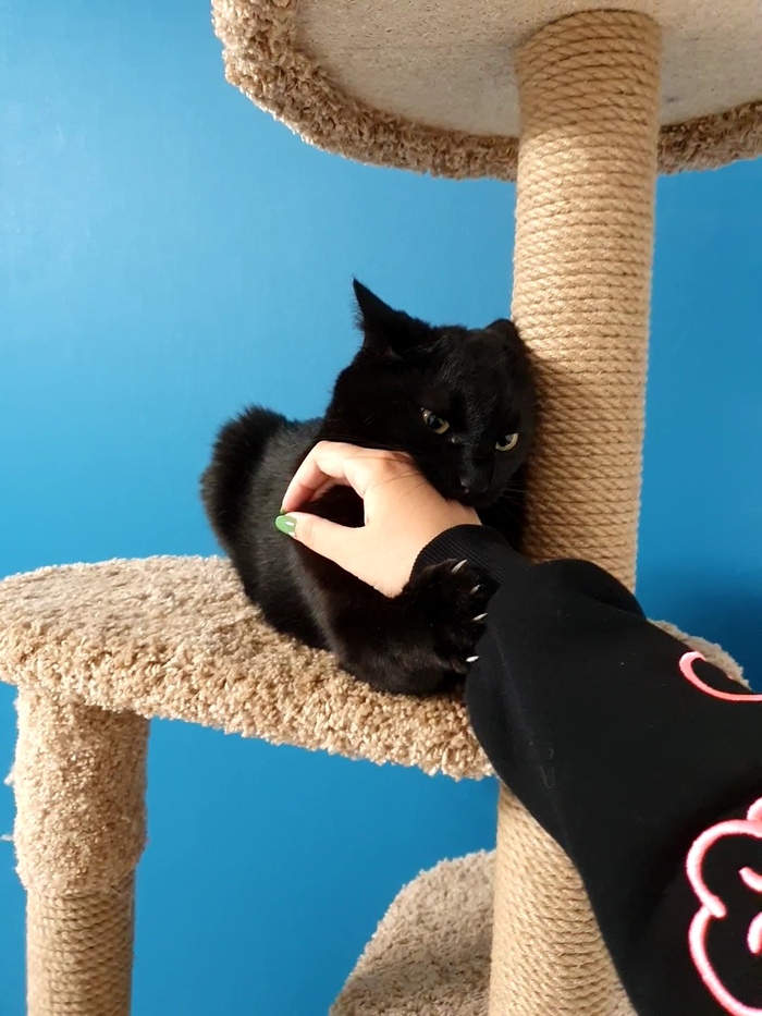 Уничтожитель коробок и человеческих рук