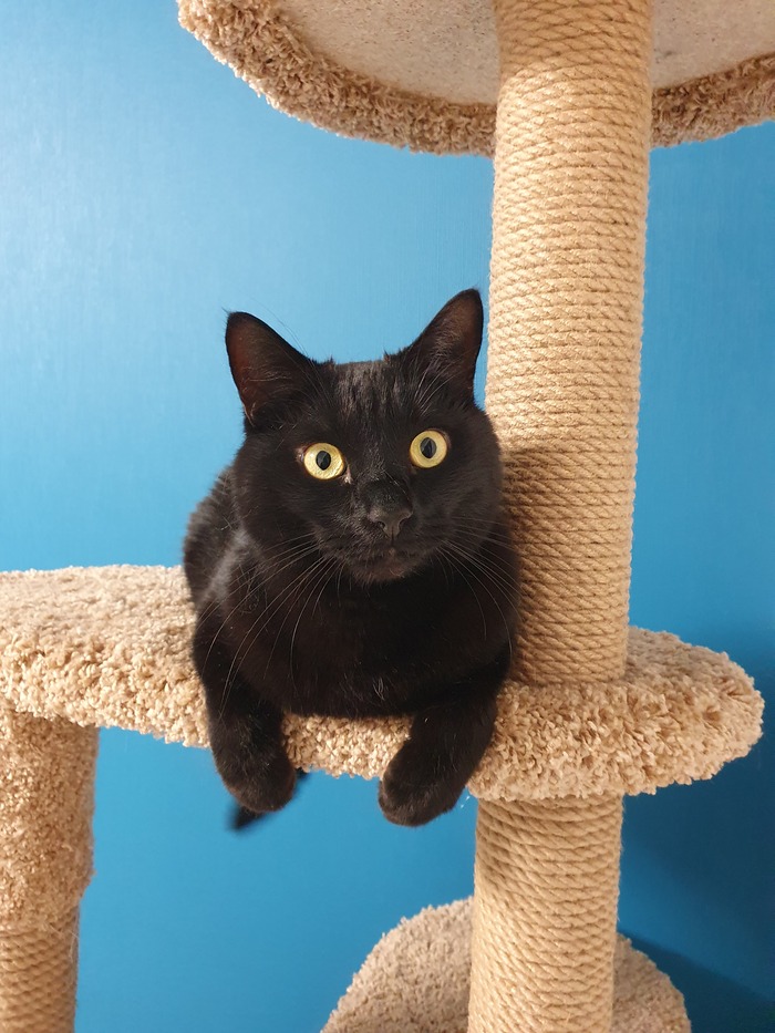 Том или Томас, Томат и Томатинааа