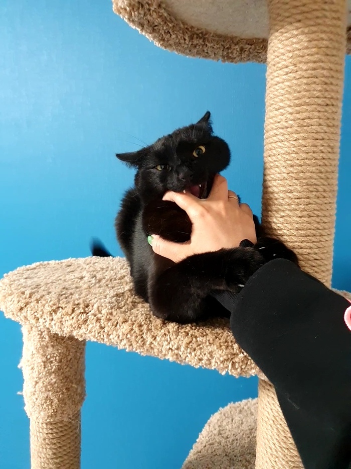 И конечно же сладкая булочка