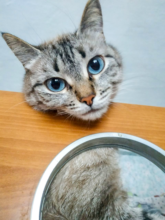    :    , , ,  , ,  ,   , 