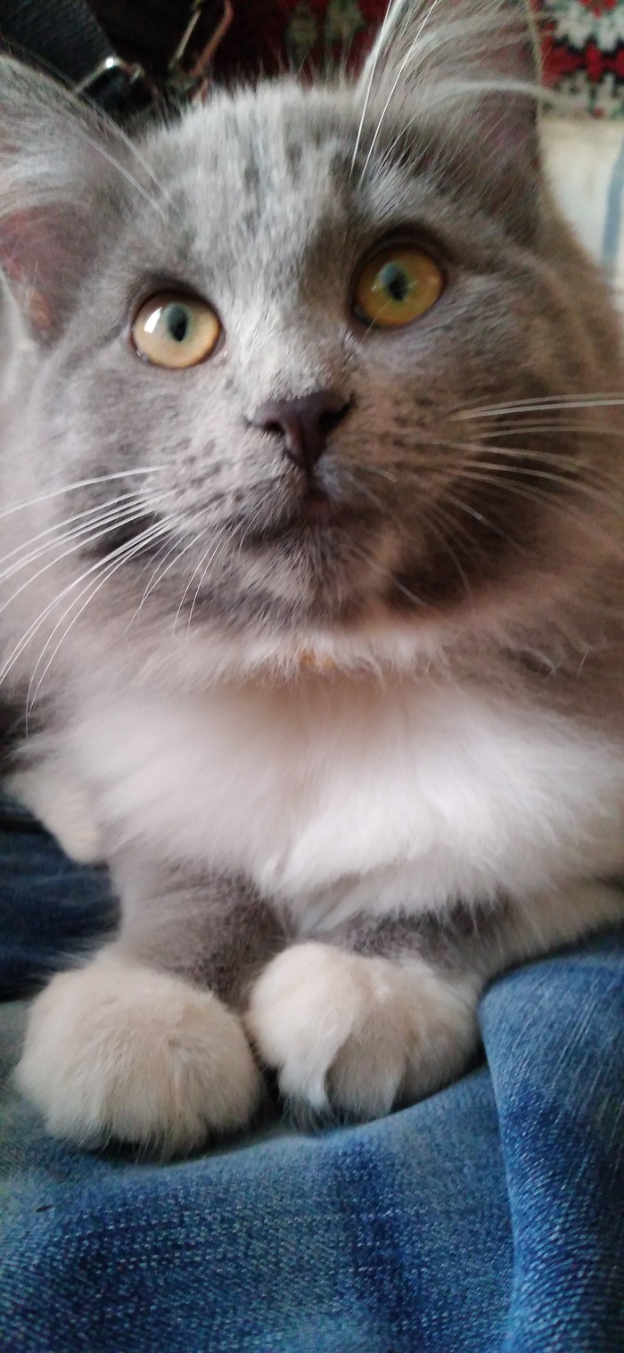   ,,    " , ,  , 