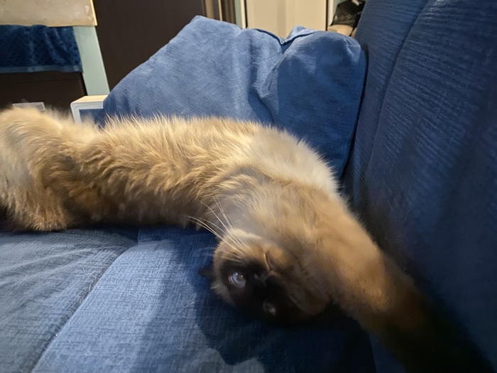 Самый веселый и любвеобильный дурень Локи