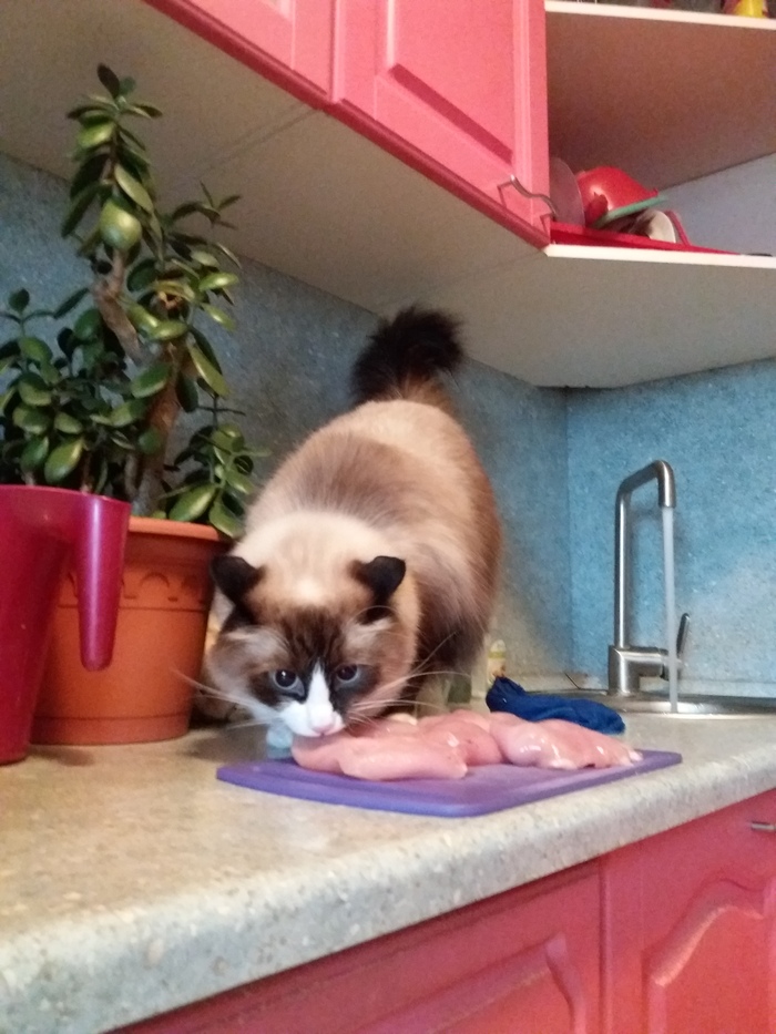 Ворюга и хищник...