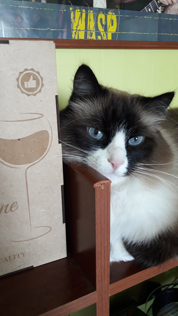 И мамин соратник в музыкально-алкогольных посиделках:)