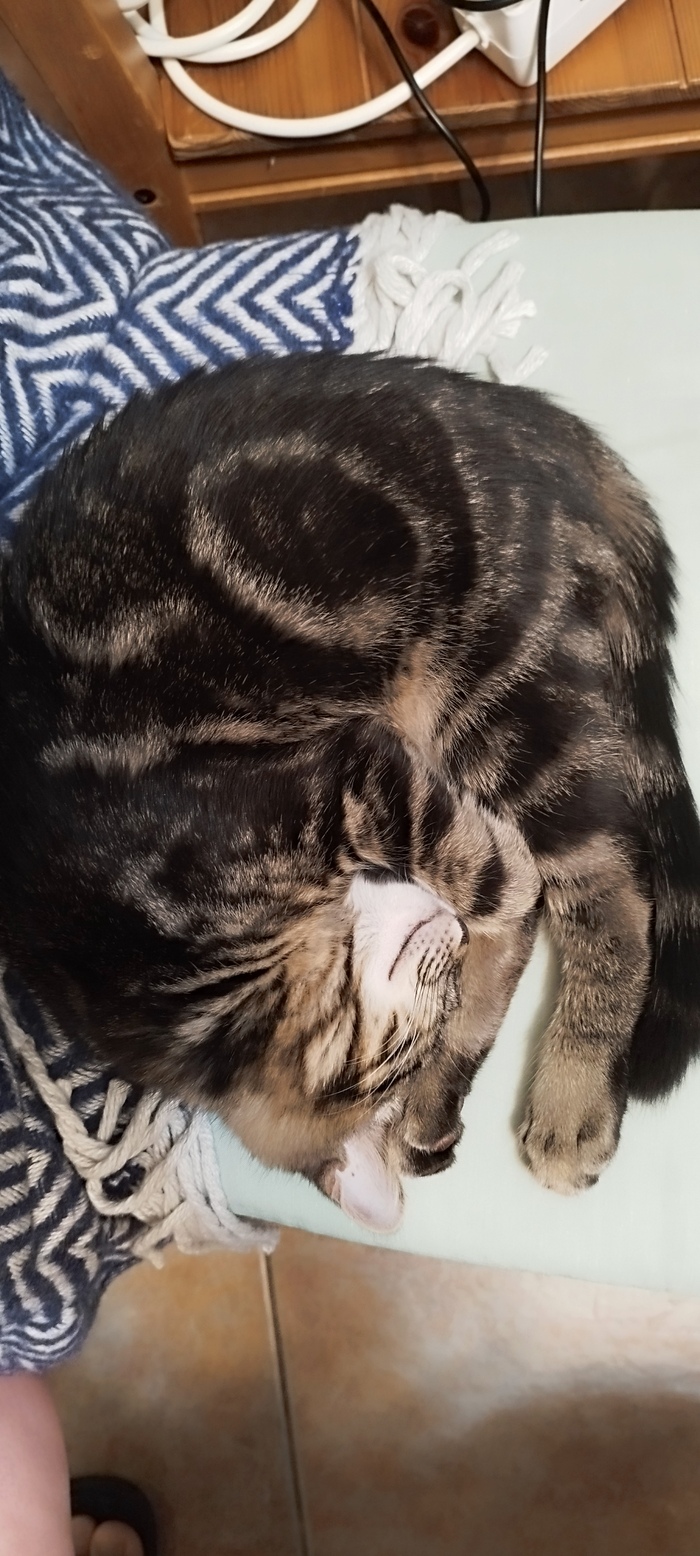    :    , , ,  , ,  ,   , 