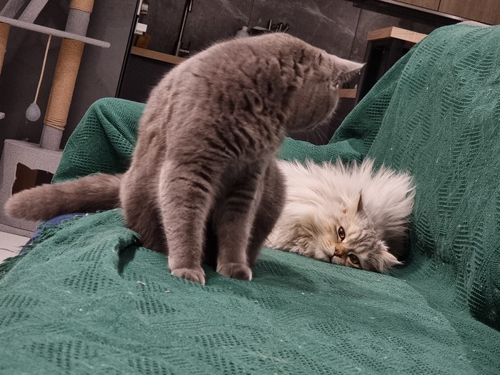 Смотри, какой красавчек по ту сторону экрана!