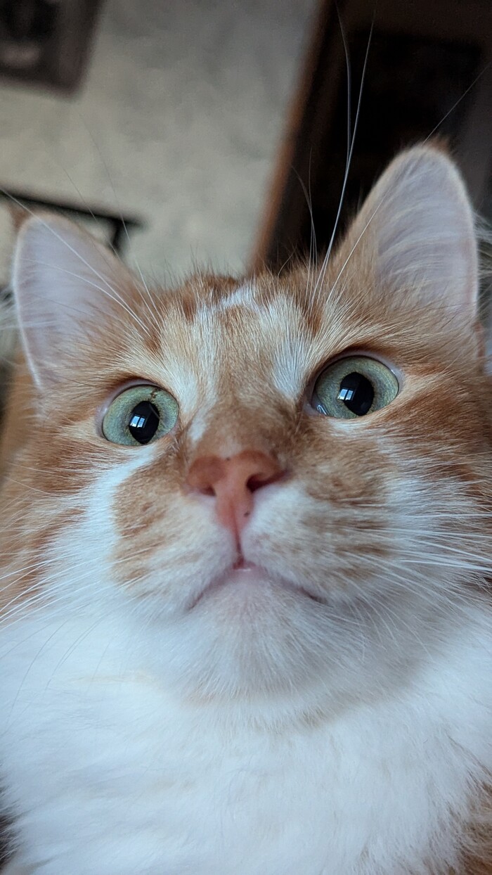    :    ,  , ,   , , ,  