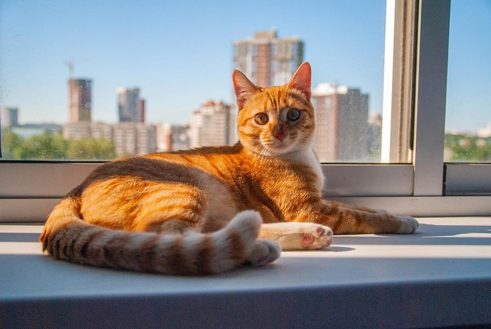 ��� ��� ��� ���