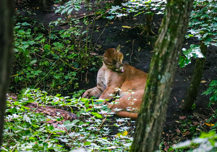 Умывания-одно из лучших занятий с утра...