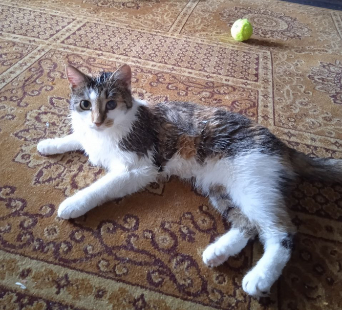 Мокрая киска, без регистрации и смс, одним файлом