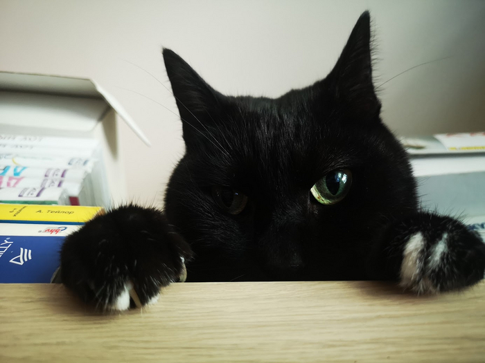 Но вообще он парень скромный