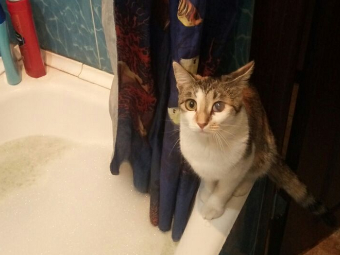 Человек, не лезь туда!