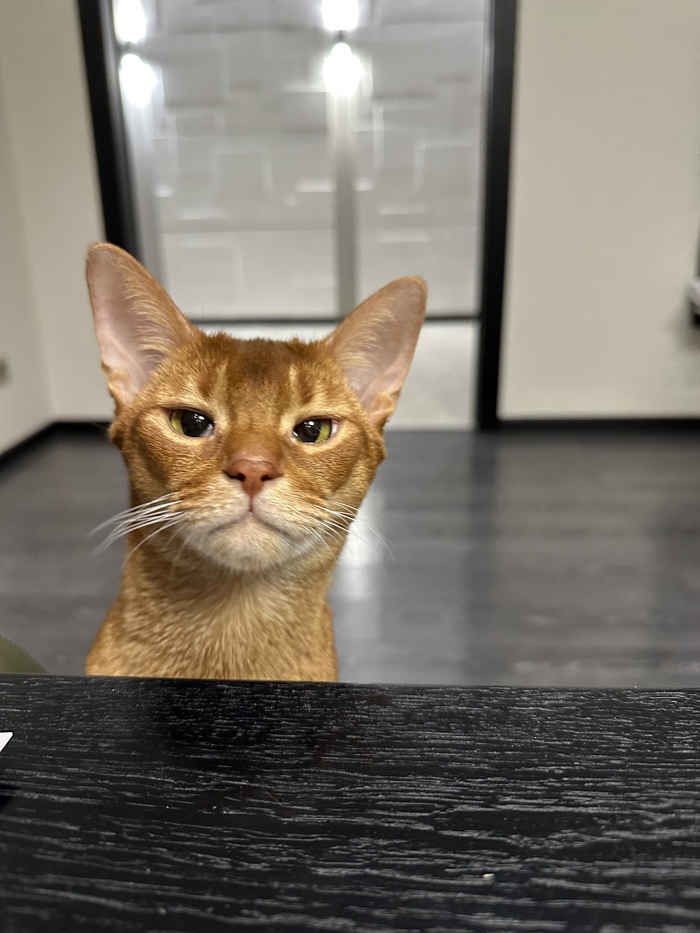 ����� �� ���� ��������: ������ ��� ������