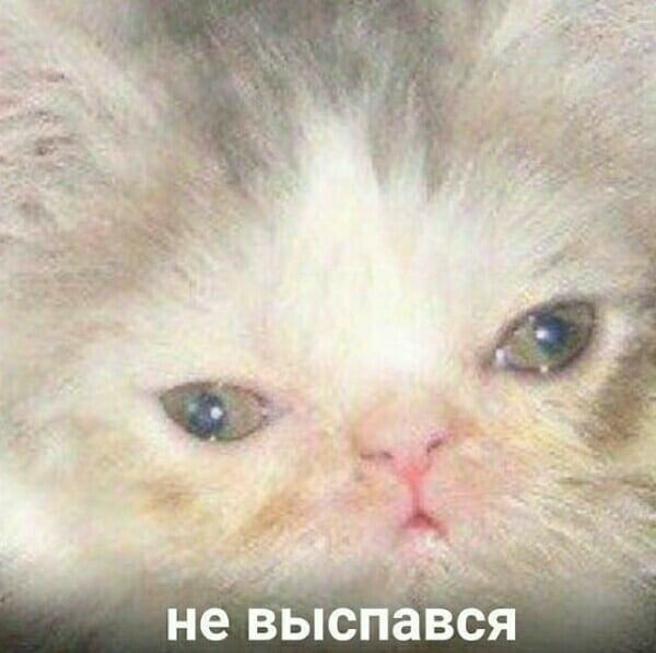       , ... ,  ,  , , , Telegram ()