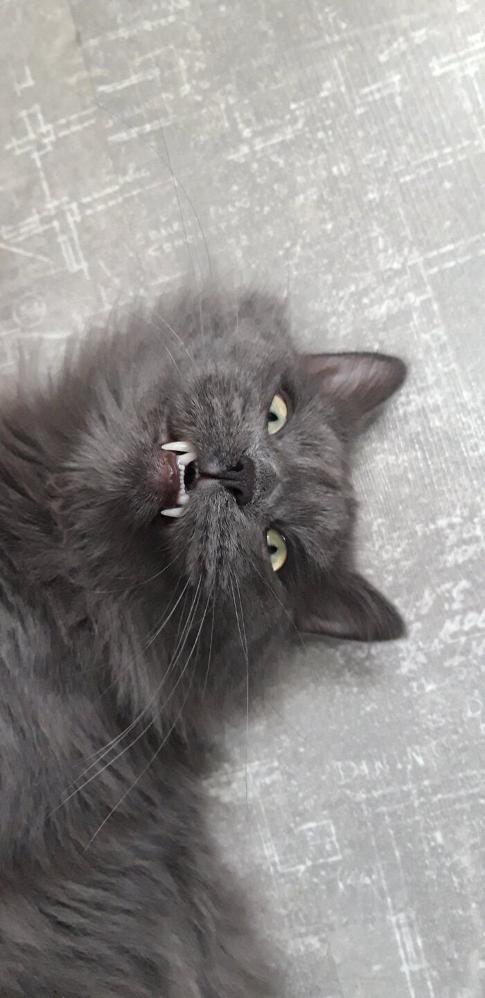    :    , , ,  , ,  ,   , 
