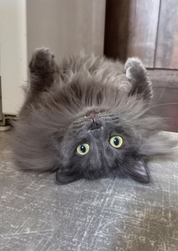    :    , , ,  , ,  ,   , 