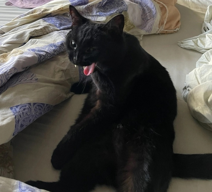 С чувством юмора у старшей всё хорошо)