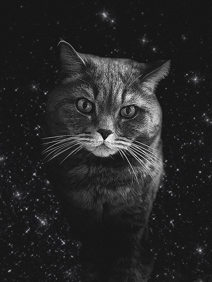 �� ������ ������!