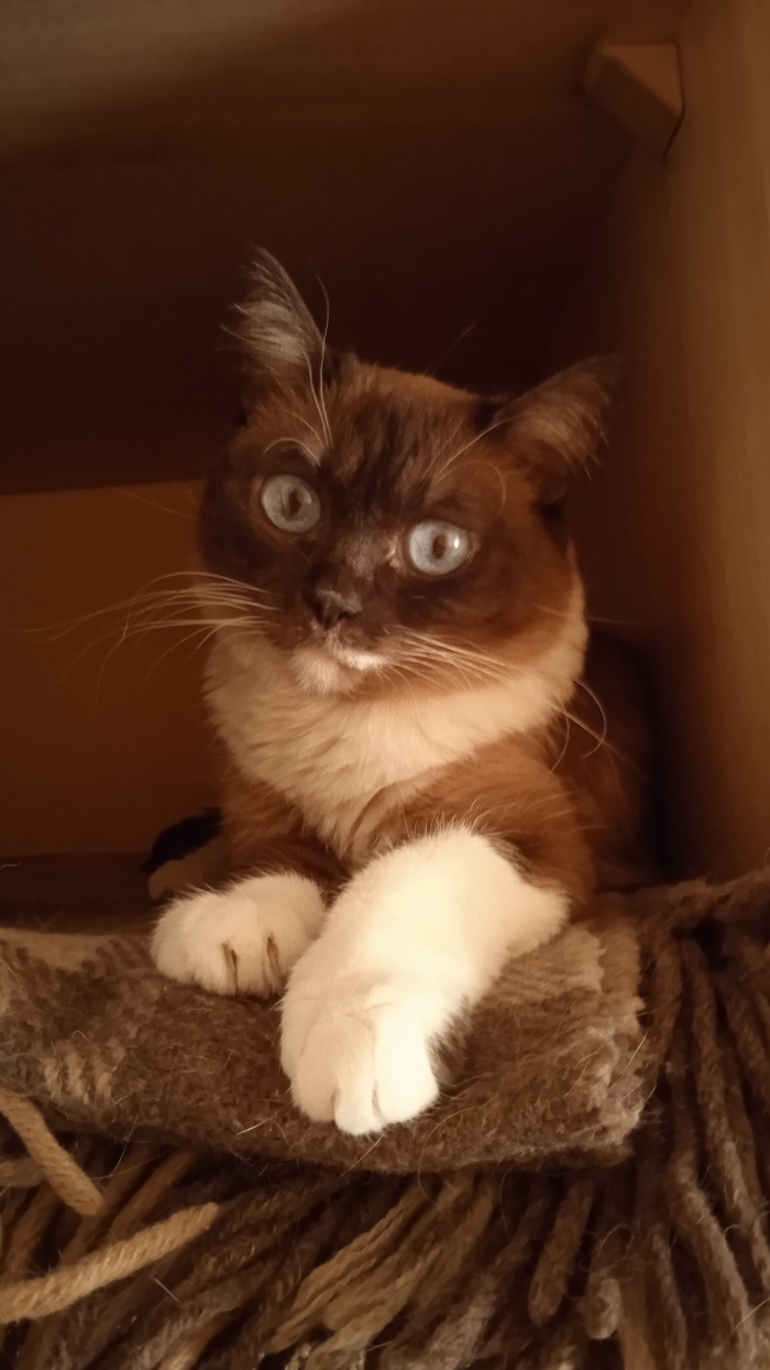    :    , , ,  , ,  ,   