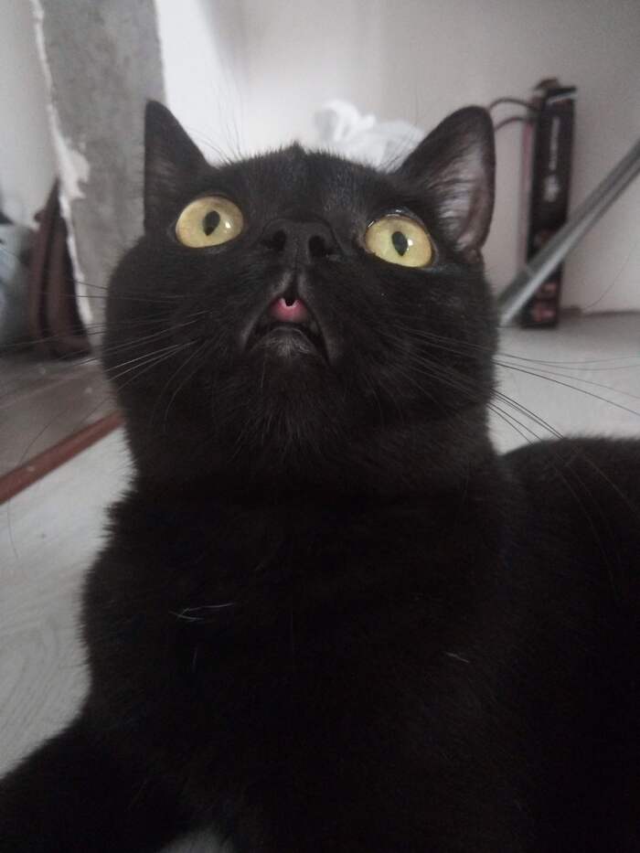    :    , , ,  , ,  ,   