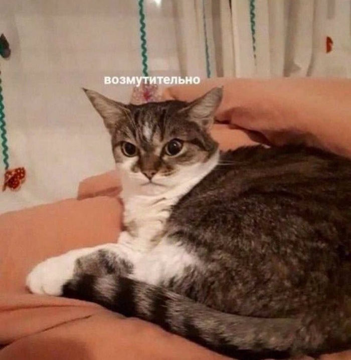    :    , , ,  , ,  ,   