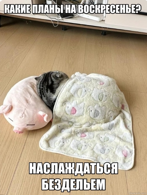  , , , , Telegram ()