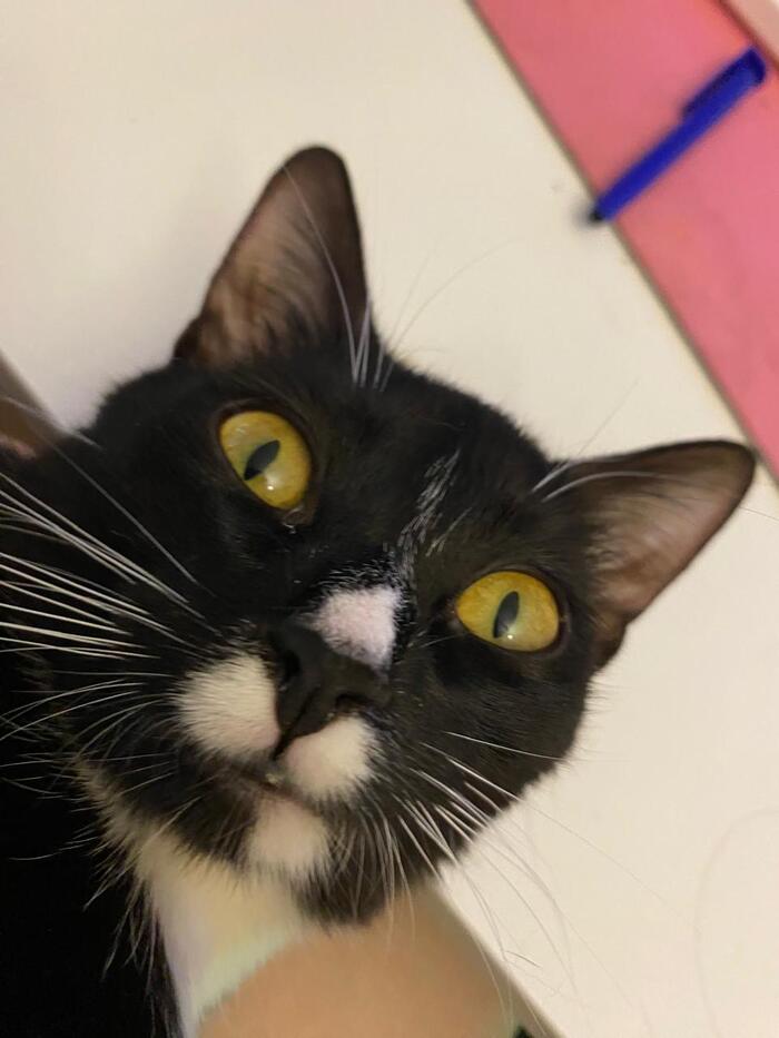 А еще малость ебанутая